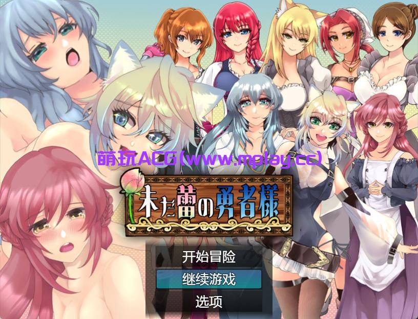 【PC+安卓JOI/日系RPG】萌新状态的英雄1.02【1.65G/汉化/双端】-萌玩ACG