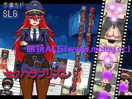 [电脑PC+安卓JOi/SLG/汉化/像素动态】性骚扰监狱/セクハラプリズン V7 AI汉化版【320M】-萌玩ACG