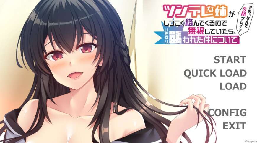 【PC/日系ADV/AIGPT汉化/2D】傲娇姐姐一直缠着我【424m】-萌玩ACG