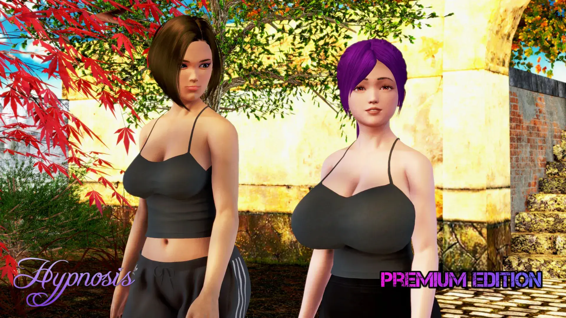 来源于萌玩ACG(www.mplay.cc)-玩转萌系-最新最热的黄油,ACG资源-汉化-破解!!!